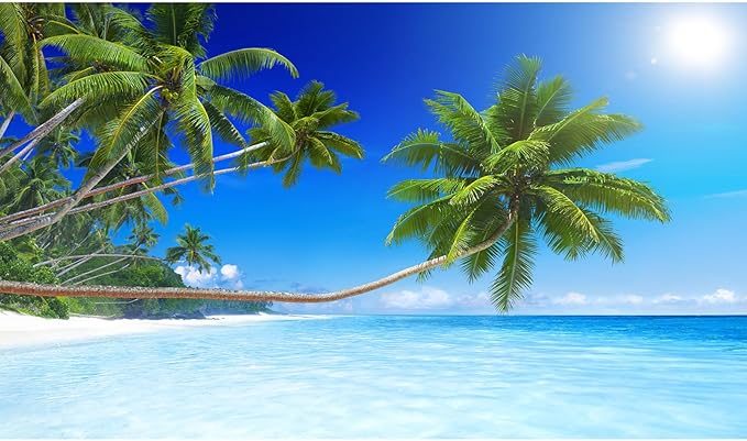 Tropical Paradise Beach Aquarium Background Ocean Island Seashore Fish Tank Background Beach Seascape Terrarium Backgrounds Sunray Blue Sky Seacoast Ocean Sea Waves Reptile Tank Backgrounds 48x18in