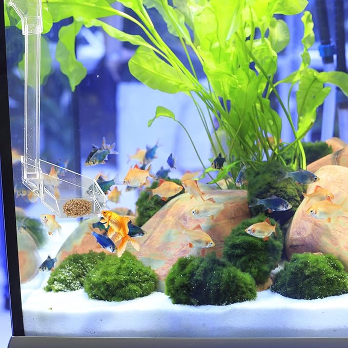 HEMOTON Shrimp Tank Feeder with Feeding Dish and Acrylic Feed Tube, 21cm Aquarium Fish Feeder for Automatic Feeding in Shrimp and Aquarium Tanks