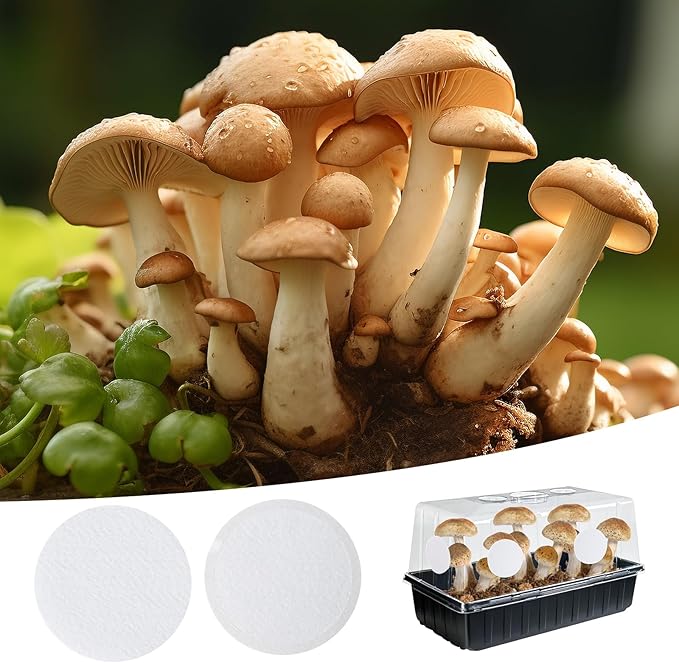 12PCS 2.5in Monotub Adhesive Filter Disks, Mushroom Monotub Filter Discs, Mushroom Filter, Filter Patch for Monotub, for Mushroom Growing Supplies Filter Pad Replacements.(2mm Thick) (12PCS)