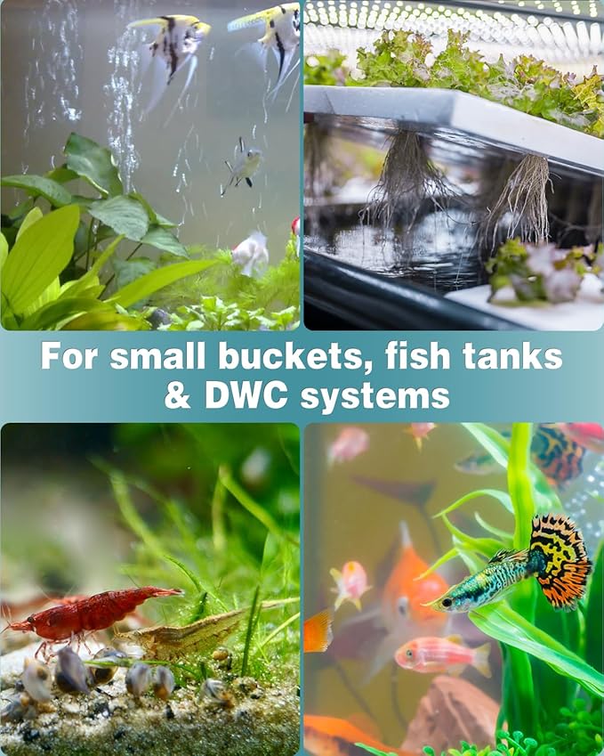 Pawfly Aquarium 1.2 Inch Air Stone Cylinder Bubble Diffuser Release Tool for Nano Air Pumps Small Buckets Fish Tanks and Outdoor Garden DWC Reservoirs, 10 Pack