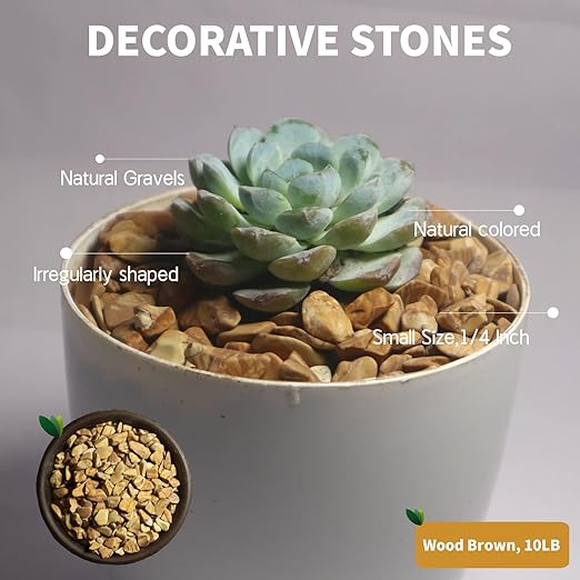 Wood Brown Pebbles,Small Gravel,1/4 Inch Nature Stones,Rocks for Reptile Terrarium,Turtle Tank,Indoor Plant Pots,Succulent,Garden Decor,Fish Tank,Vases,Aquarium Landscaping,10Lb