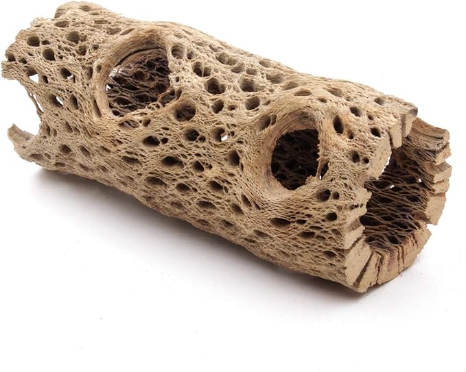 3 to 48 Inch All Natural Teddy Bear Cholla Wood Extra Hollow Large Untreated Organic Aquarium Driftwood Decoration Chew Toy Shrimp Crab Multi-Quantity