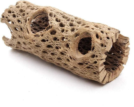 3 to 48 Inch All Natural Teddy Bear Cholla Wood Extra Hollow Large Untreated Organic Aquarium Driftwood Decoration Chew Toy Shrimp Crab Multi-Quantity