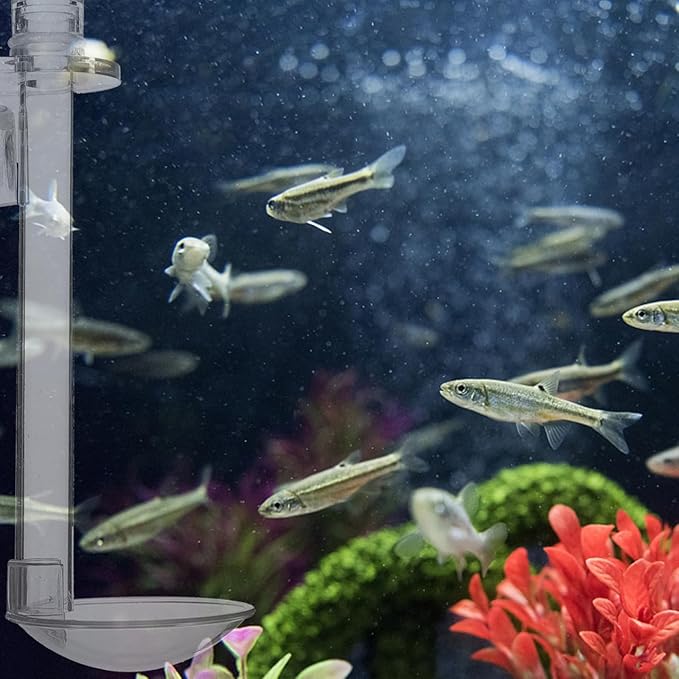 INOOMP Wall-Mounted Fish Feeder with Transparent Sinking Tube and Feeding Ring Easy Setup Aquarium Shrimp Feeder for Fish Tank 5.90 Inch