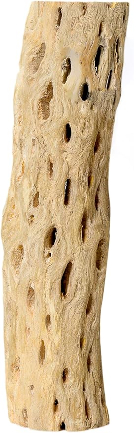 SuperMoss Cholla Wood, Natural, 12 in
