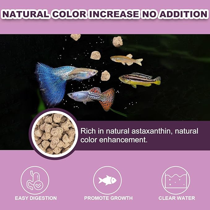 Freeze Dried Brine Shrimp Cubes - Natural High Protein Food for Tropical & Marine Fish Cichlids Tetras Discus Goldfish Angel Fish Koi (113g)