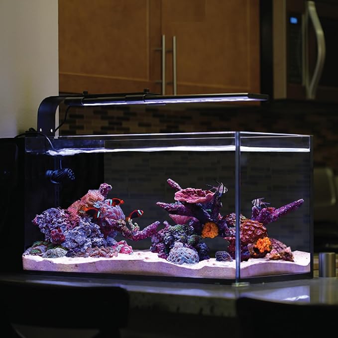 CURRENT USA 18"-24" Inch Orbit Marine LED Saltwater Reef Marine Aquarium Light with Bluetooth App Control | Wireless Lighting & eFlux Wave Pump Control for Fish Tank (4200)