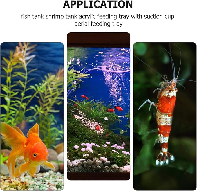 5pcs Aquarium Shrimp Feeder Dish with Suction Glass Fish Tank Feeding Bowls Clear Dishes Tray