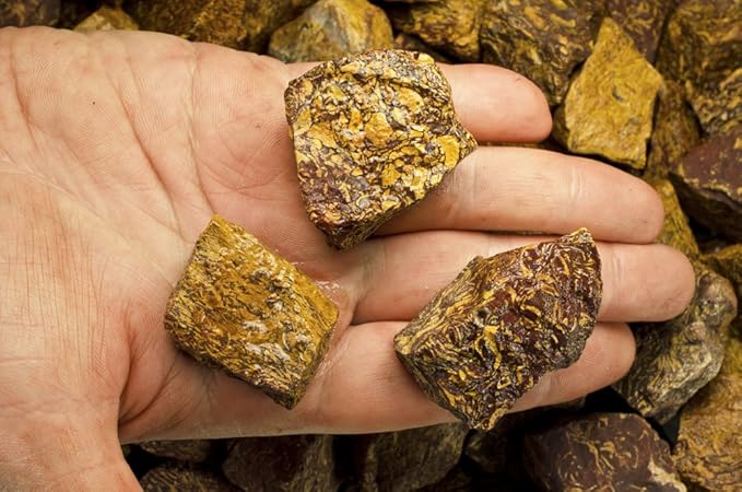 Fantasia Materials: 18 lbs Script Jasper Rough Stones from India