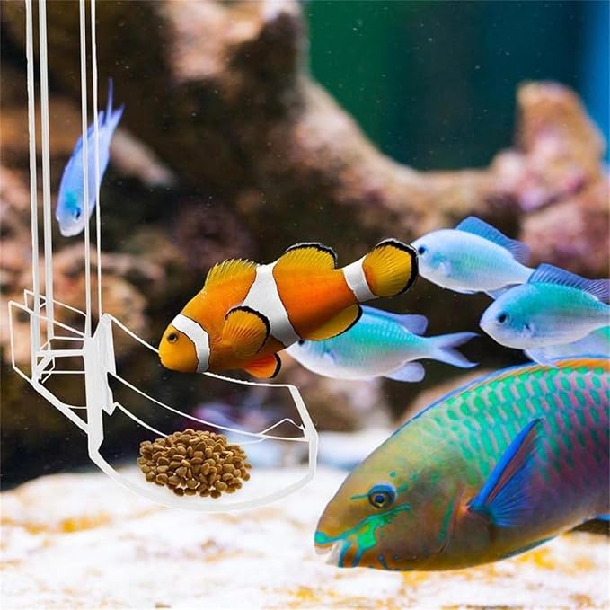 MOUDOAUER Fish Tank Feeding Tube and Dish Aquarium Acrylic Feeder for Fish Tank Aquarium Shrimp