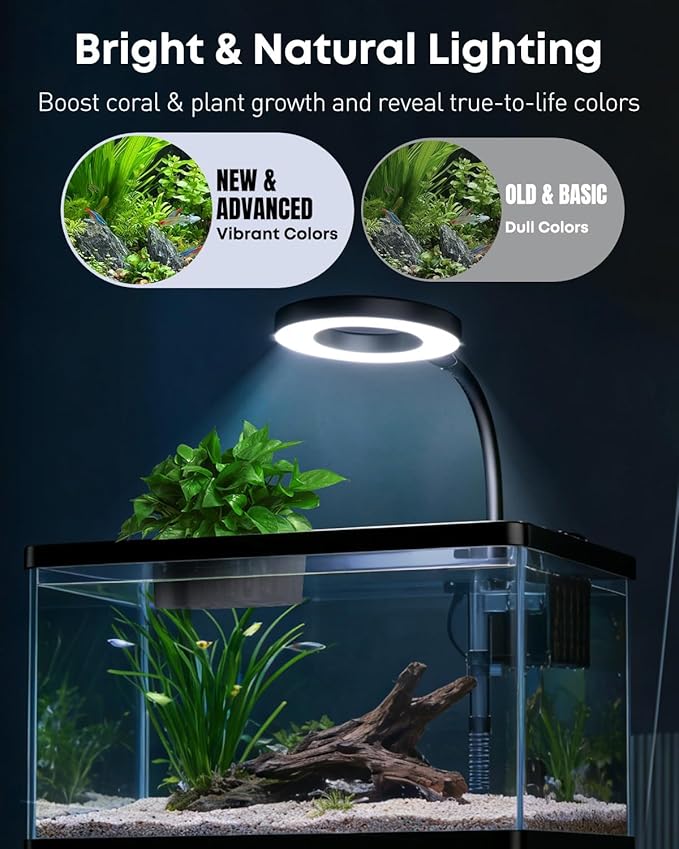 Pawfly 2 Gallon Fish Tank, Small Aquarium Kit, Betta Fish Tank Starter Kit with 6 W LED Light, 65 GPH Filter, Siphon Vacuum Water Changer & Basket, Aquarium for Betta, Shrim, or Small Fishes