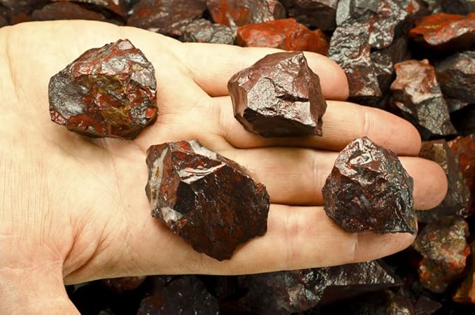Fantasia Materials: 1 lb Brecciated Jasper Rough Stones from India
