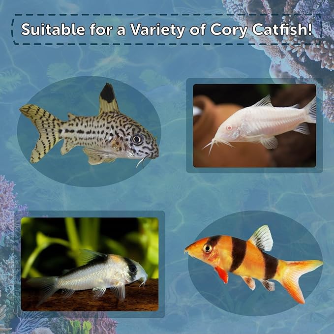 Corydoras Catfish & Loach Spirulina and Color Enhancing Sinking Granules. Ideal for All Bottom Tropical Fish…8oz Jar