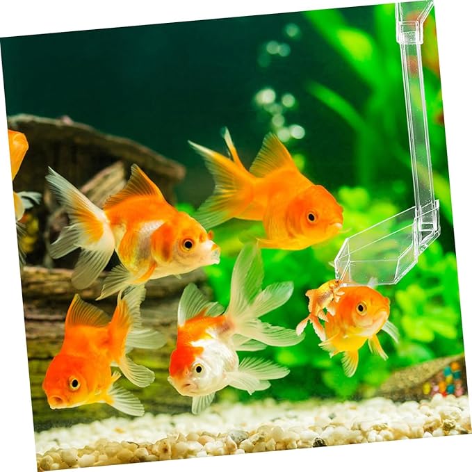 Aquarium Shrimp Feeder Tube Fish Tank Feeding Tube 28cm Fish Tank Accessories Automatic Feeder Container for Betta Vacation Feeding