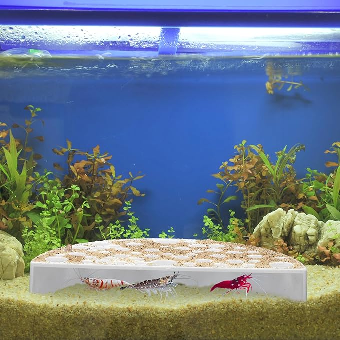 Hoolerry 2 Pcs Shrimp Hides for Aquarium Shrimp Hides Hideout Aquarium Cave Fish Tunnel for Fish Tank Accessories Decor(White)
