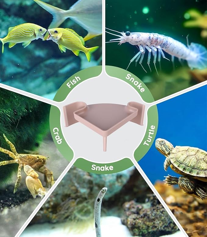 Aquarium Cave Hideout with Viewing Window – Corner Fish Tank Tunnel for Pleco, Cory Catfish, Kuhli Loach, Shrimp, Betta – 2-Hole Plastic Bottom Dweller Shelter – Fish Hiding Spot Decor (5"x5"x2")