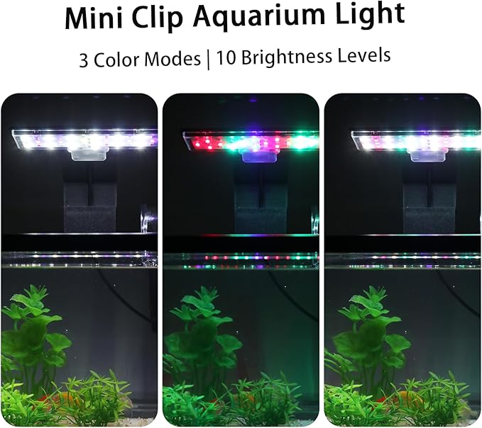 1.7 Gallon Aquarium Starter Kit with LED Light & Quiet Filter, Complete Small Fish Tank for Betta, Mini Desktop Acrylic Tank, Ideal for Shrimp Guppy Jellyfish Goldfish, Office, Home, or Gift