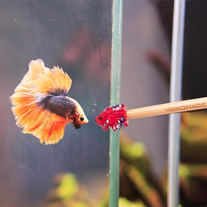 KOIKA Fish Training Stick Toys Fish Tank Decor Betta Training Wand (Fish Training Wand)
