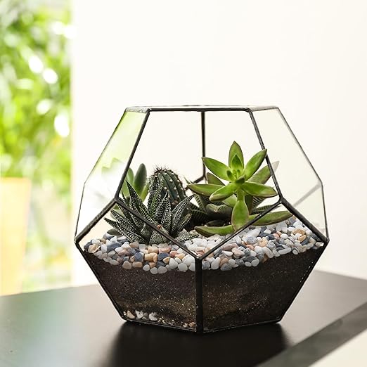 Pulovin 2.5 lbs Small Rocks for Plants, 1/5 Inch Pebbles for Indoor Plants, Natural Decorative Pea Gravel for Aquarium, Fish Tank, Terrarium, Succulents, Bamboo Plants, Vases, Cactus, Crafts