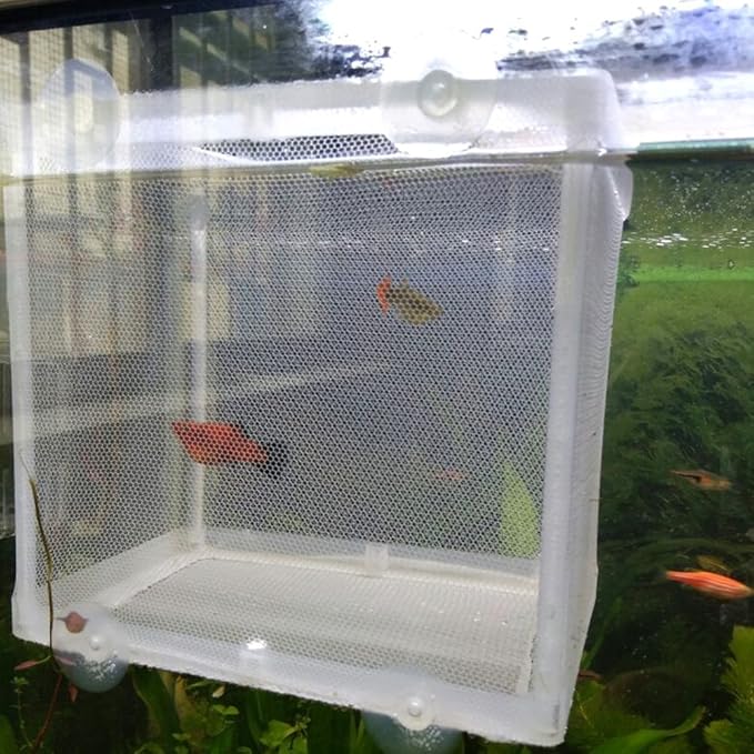 BOYU Aquarium Fish Breeder Box Isolation Box Breeder Hatchery Incubator