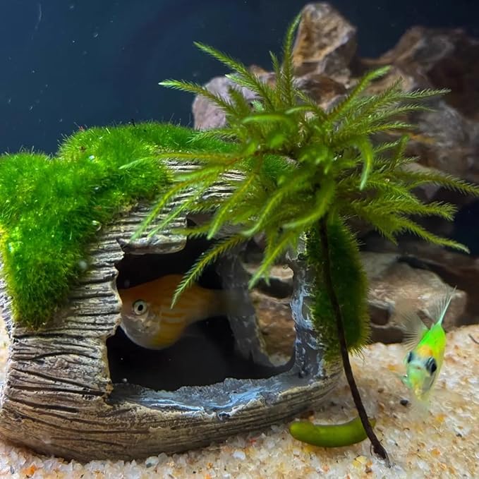 Aquarium Broken Barrel Fish Hide Caves, Cute Cichlids Guppy Small Fish Betta Shrimp Hide Caves Shelter, Fish Tank Shipwreck Themed Hide Hut Hideouts for Small Medium Fish Tank Breed Spawn