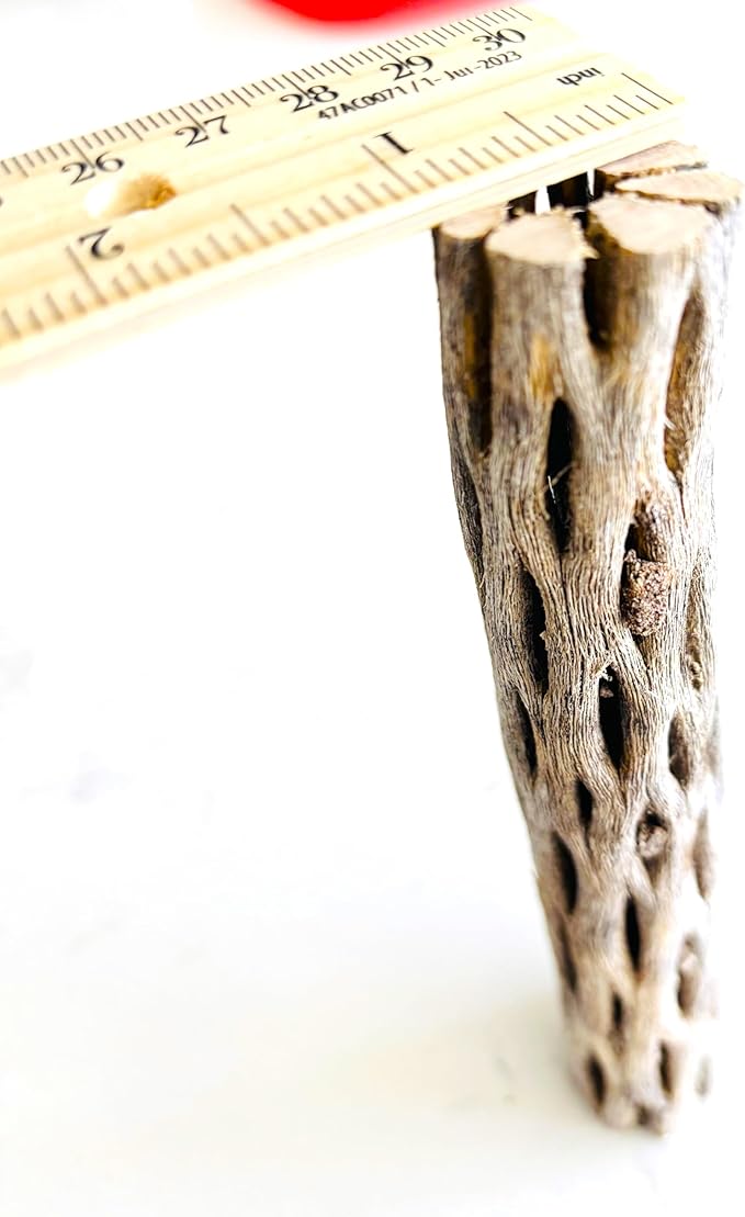 Natural Cholla Wood, Choya Air Plant, Untreated Beautiful Driftwood, Aquarium Decor, Betta Fish, Plecos, Shrimp, Minnows, Neon tetras, Cory Catfish, 6'' Long, 0.8 – 1'' Diameter, 5 – Pieces.