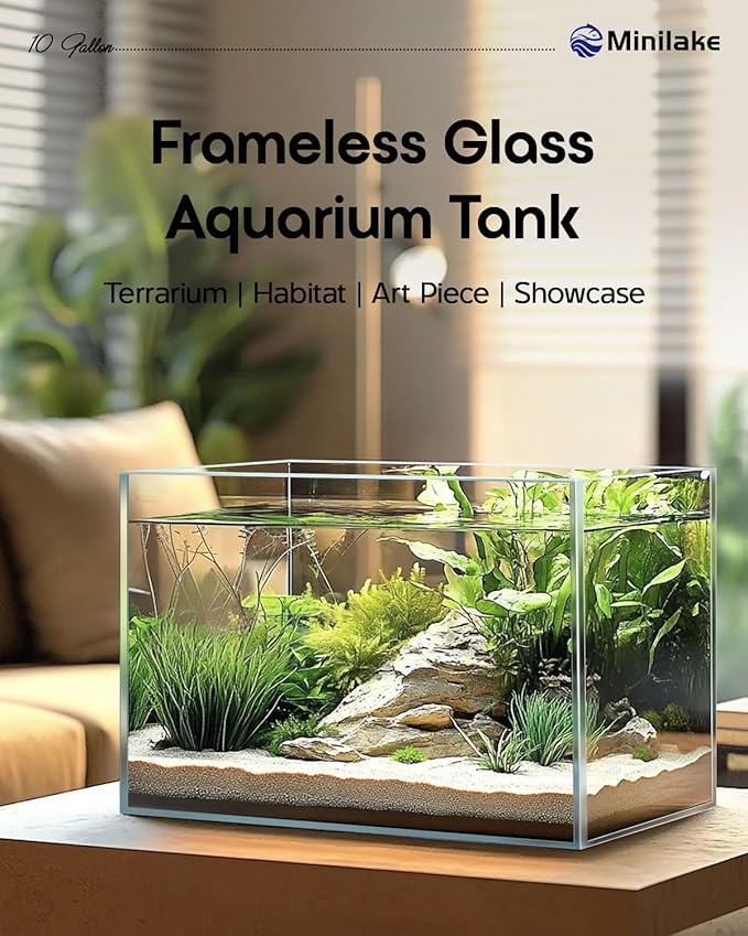 10 Gallon Ultra Clear Rimless Glass Fish Tank, Easy to Maintain Small Aquarium for Betta, Goldfish, Shrimp, Snails and Aquatic Plants