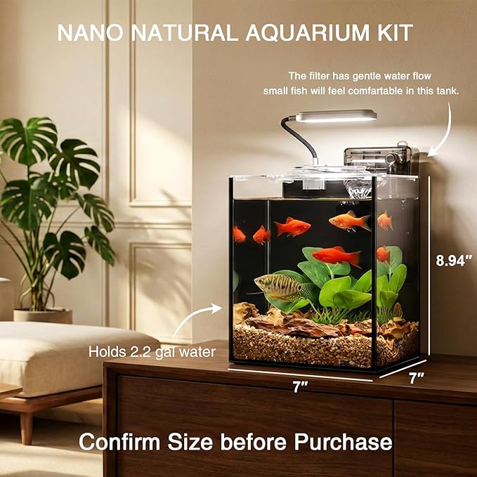 2.2 Gallon Betta Fish Tank, Small Aquarium Kit,Glass Small Fish Tank,Betta Fish Tank with a lid and Light and Filter, Small Transparent Glass Fish Tank with Light and Filter(Black Glass Background)
