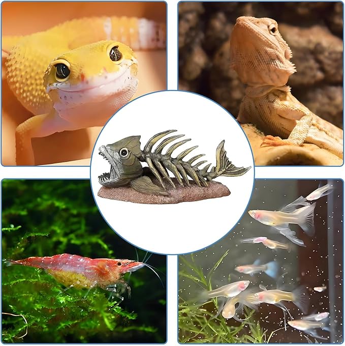 kathson Fish Tank Decorations Resin Piranha Skeleton Aquarium Decor Reptile Tank Accessories Ornament Fish Bone Hideout for Shrimp Lizards Geckos Spiders