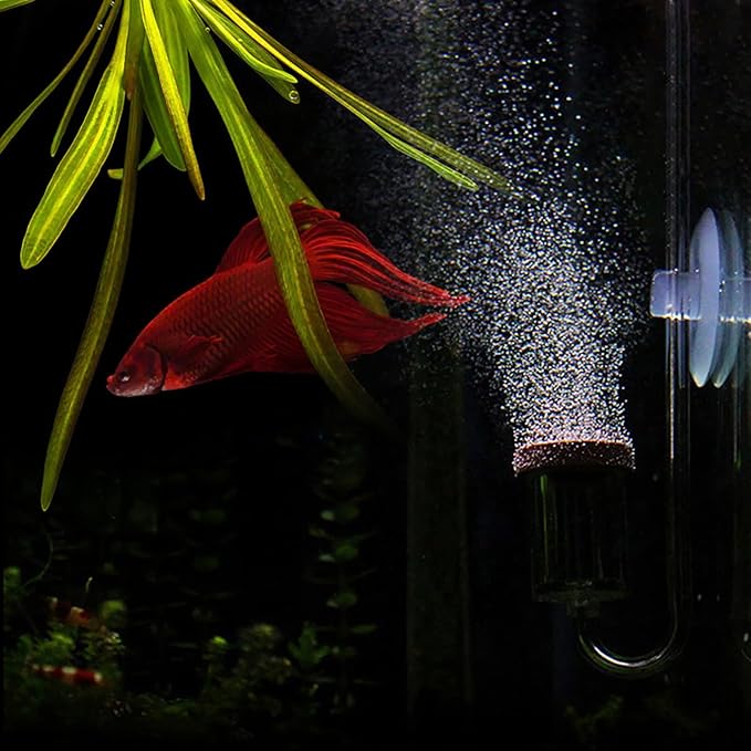Acrylic Aquarium CO2 Atomizer Diffuser, High Dissolution Rate, Bubble Counter Refiner, with Nano MBKT Technology, for Aquarium Aquatic Plants (M)