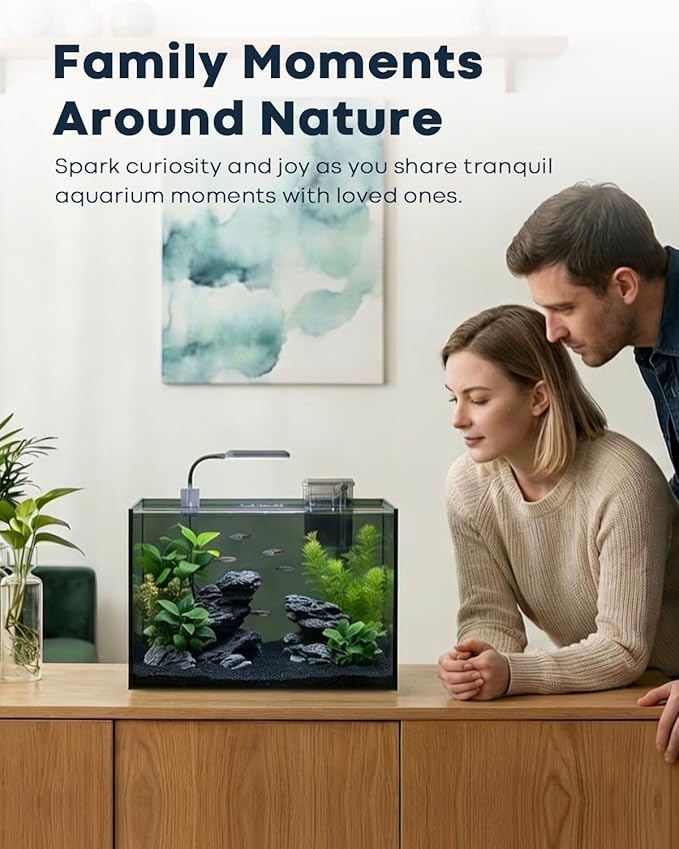 Wonderfactory 5 Gallon Small Aquarium Set Glass Fish Tank 6 Gallon, Starter Kit with Heater Water Pump Cleaning System Filter Bright Light Rocks Gravel Cleaning Tool, Clear Rimless Betta Plants