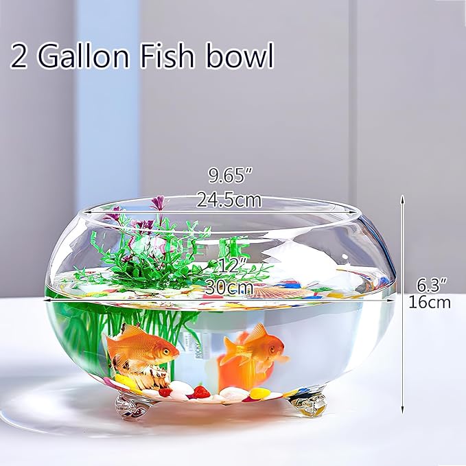 2 Gallon Glass Fish Tank,Sturdy Nicely Betta Fish Bowl,Small Aquariums for Small Ornamental Fish and Reptiles,High Transparency Glass Good View of Your pet,with Three Support Feet