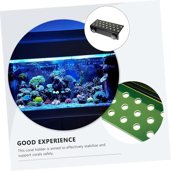 Marine Sources Aquarium Clear Acrylic Coral Frag Plugs Rack Holder SPS Coral Support Seawater Fish Tank Accessories Magnetic (CRB-M-G4)
