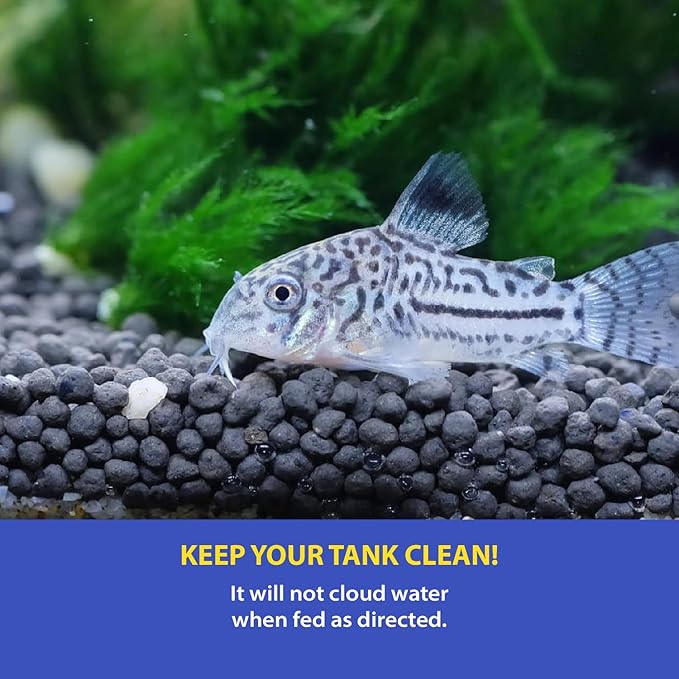 Fish Food for Bottom Feeders (2.1 Oz), Balanced Diet, Sinking Tablets for Bottom Breeders, Sinking Wafers