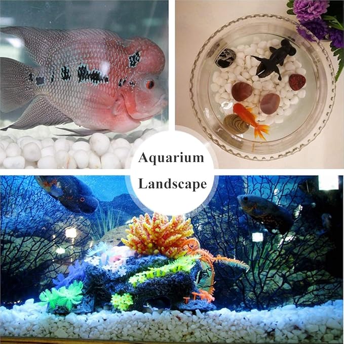 Aquarium Decorative Sands White Gravel Pebbles Fit for Aquariums Succulent Plants Terrarium Landscape, 2 Pounds