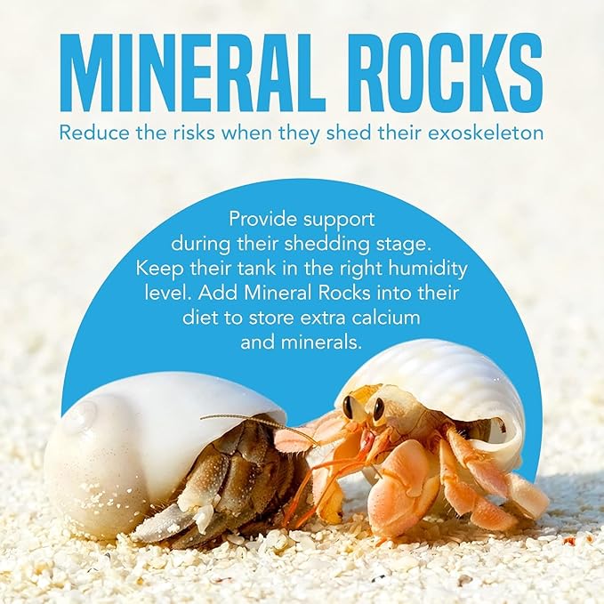 JOR 2 oz Hermit Crab Rocks, Natural Calcium Stones for Shrimp Tank Kit, Crab Decor Accessory, Rock Source for Crabs, Snails & Shrimp, Suitable for Marine Tanks, Freshwater Use & Terrarium Habitats