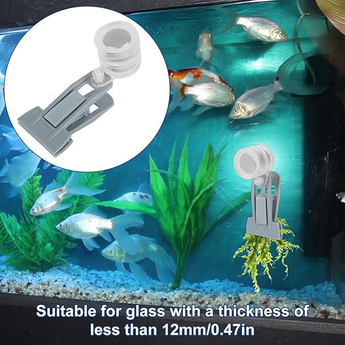 Magnetic Seaweed Feeder Clip, Plastic Algae Feeding Clip Saltwater Automatic Fish Feeding Ring Fish Aquarium Accessories for Aquatic Pets