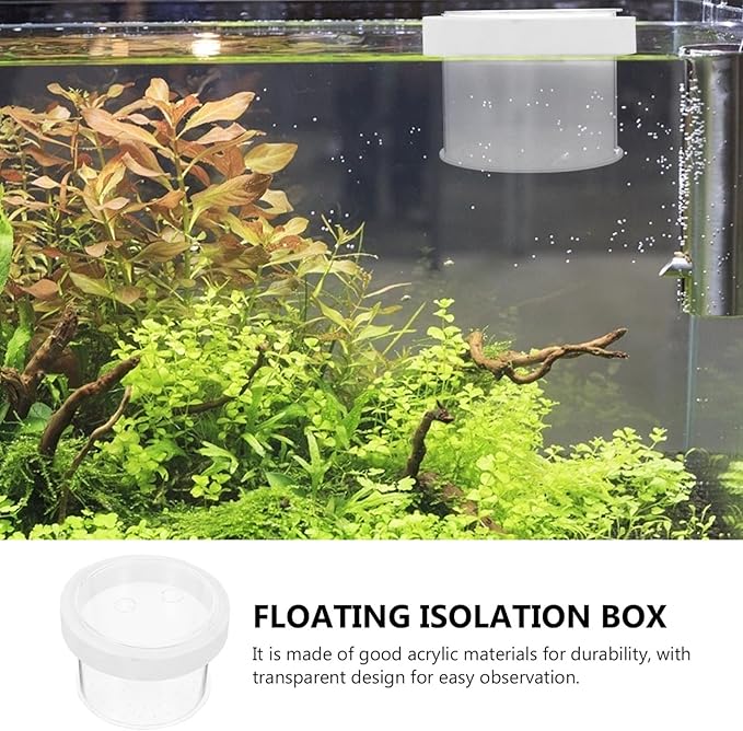 Ipetboom Fish Tank Separate Box Floating Aquarium Breeding Box with Lid 4.72X4.72X3.14In Acrylic Fish Isolation for Small Guppy Fry