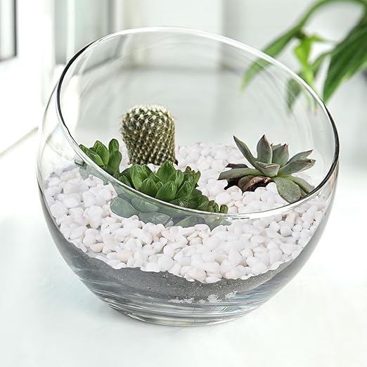 Pulovin 5 lbs White Aquarium Gravel, 1/5 Inch White Rocks for Plants, Small Pebbles for Vases, Succulents, Bamboo, Natural Decorative Pebbles for Plants Drainage, Cactus, Crafts