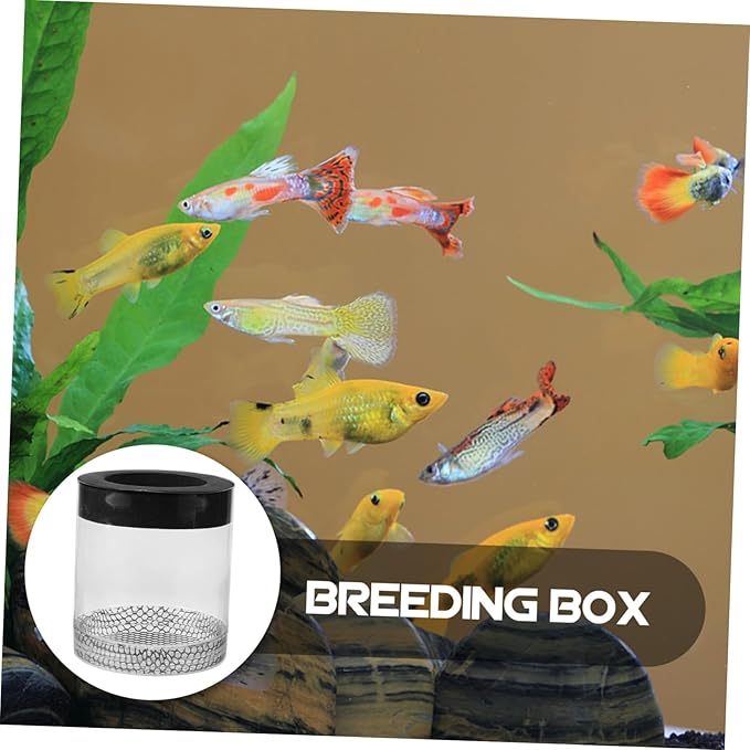 Ipetboom Fish Tank Hatching Box Floating Breeding Box Survival Rate Enhancer for Baby Fry Fish