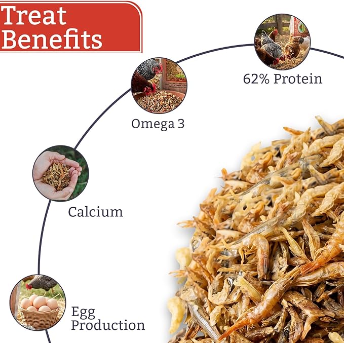 Fish & Shrimp Chicken Treats, Dried Shrimp and Freeze Dried Minnows with Omega 3 and Calcium, Natural Chicken Snacks for Chickens and Ducks – 3 lb