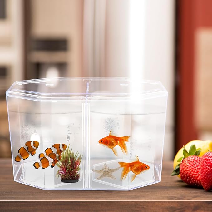 Mipcase Acrylic Betta Fish Tank Isolation Box 8-Inch Divided Breeding Tank for Betta Fish with Transparent Design Small Aquarium for Spawning and Incubation