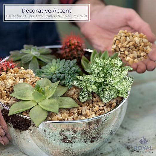 River Rocks Decorative Ornamental Vase Filler 0.25" Natural Aquarium Gravel - 5 lbs Landscaping Pebbles for Indoor Plants, Fish Tank Gravel, Terrarium & Home Decor, DIY & Crafting – Royal Imports