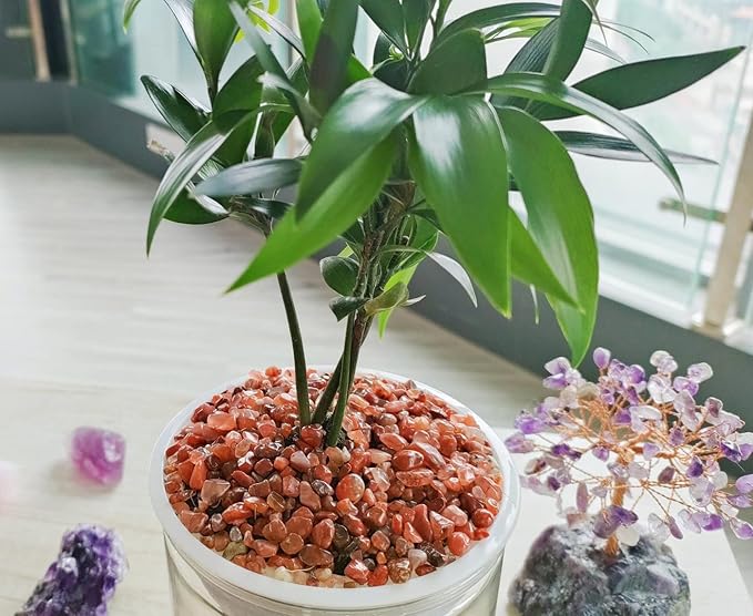 ZHIYUXI Carnelian Crystal Chips Bulk Fish Tank Gravel Vase Filler Stones Bulk Crushed Crystals Gemstone Polished Natural Quartz Healing Crystals Stone Glass Stones Fish Rocks