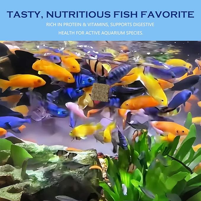 Freeze Dried Tubifex Worms Cubes 3.5 oz – High Protein Floating Fish Food for Betta, Discus, Cichlids, Tropical Fish, Goldfish, Koi & Turtles
