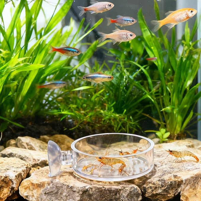 2 Pcs 60mm Fish Tank Feeder Dish, Clear Acrylic Aquarium Shrimp Feeder Dish with Suction for Aquarium Tanks Feeding