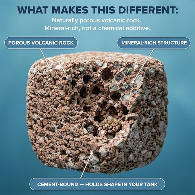EcoBio-Block Natural Volcanic Rock for Aquarium Water Clarity & Balance — Low-Maintenance Alternative to Weekly Additives — for Freshwater Fish, Turtles, Shrimp & Frogs (Small, 8-16 gal)