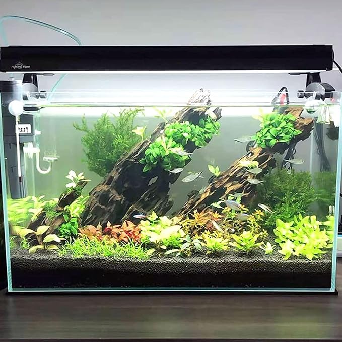 kathson Aquarium Large Driftwood Natural Wood Assorted Branches Fish Tank Driftwood Decoration Reptiles Habitat Wood Decor