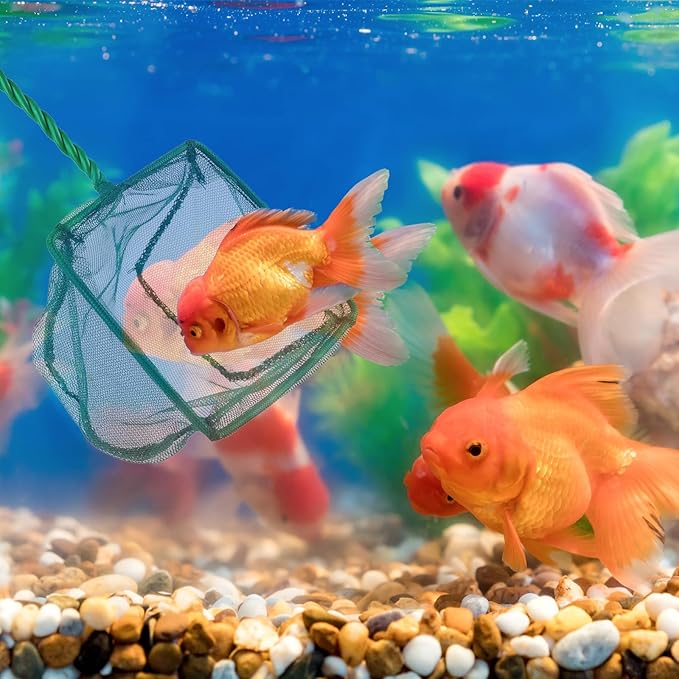 4 Pack Aquarium Fish Net 4 Sizes Quick Catch Mesh Nylon Fishing Catch Nets Square Fish Nets with Handle (3in, 4in, 5in, 6in)