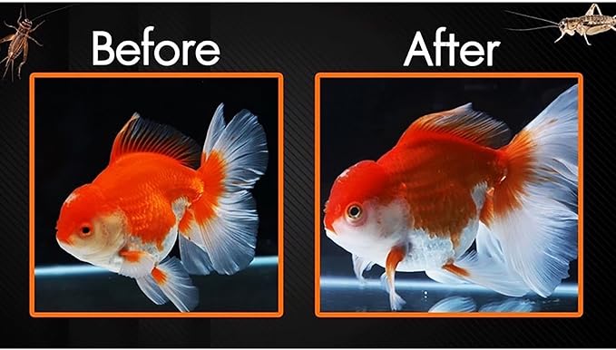 A.D.P. Deep Growth Fast & Jelly Enhancer 100 g. Goldfish Food Mini Floating Pellet 1.5 mm, High Protein 45% Build Big Body & Color Enhancing Aquarium Baby Newborn Fry Tropical Fish Food